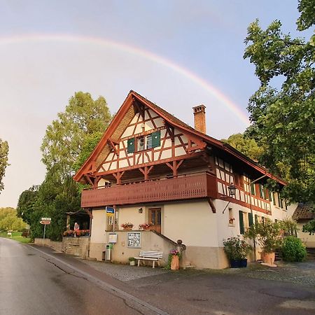 Studio Beim Rhein - Ziegelhuette Flaach Bagian luar foto