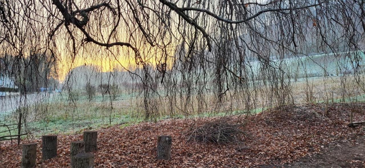 Studio Beim Rhein - Ziegelhuette Flaach Bagian luar foto