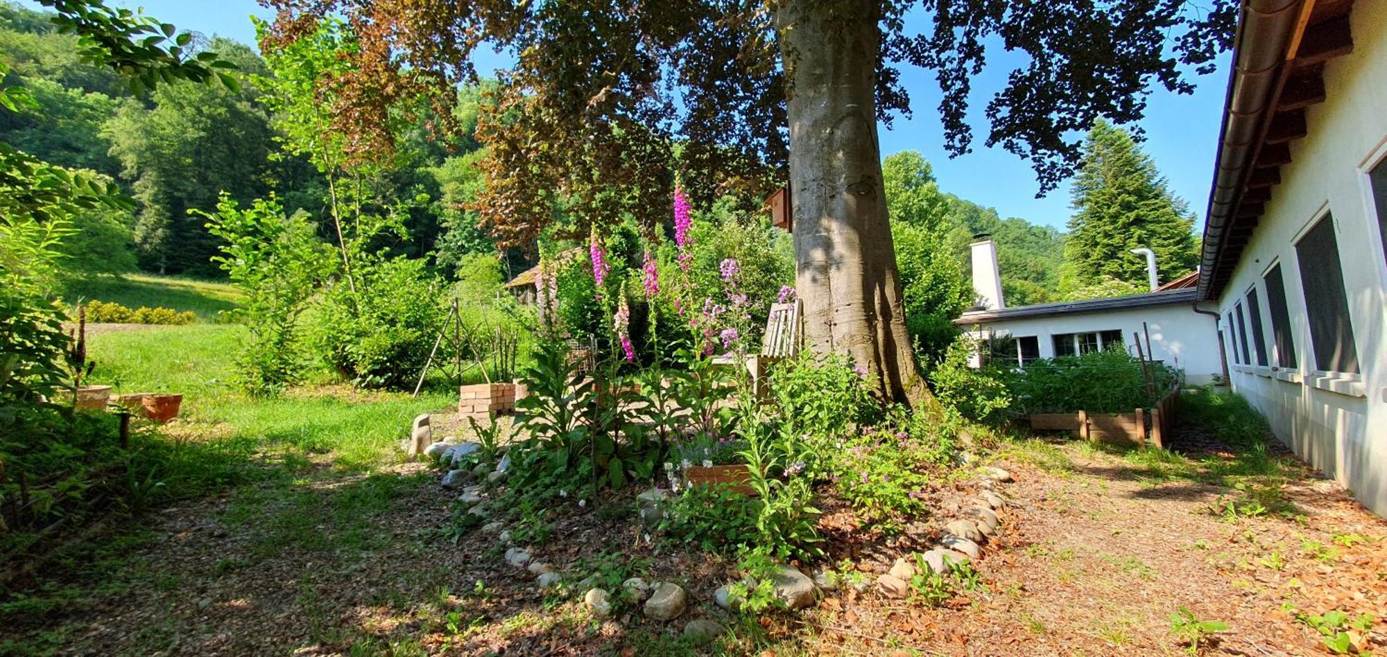 Studio Beim Rhein - Ziegelhuette Flaach Bagian luar foto