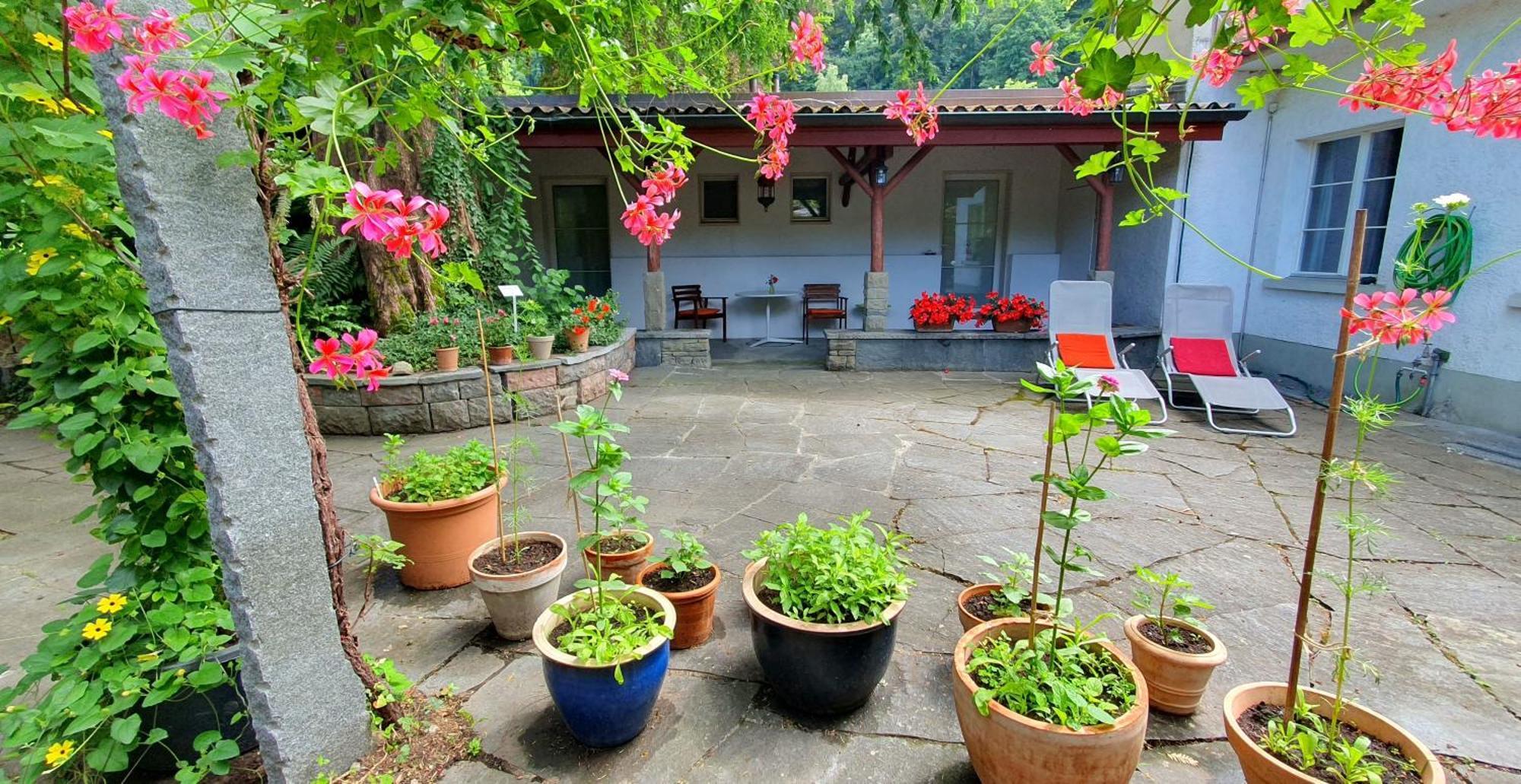 Studio Beim Rhein - Ziegelhuette Flaach Bagian luar foto